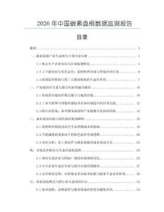 2026年中國碳素盤根數據監測報告