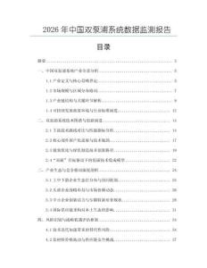 2026年中國雙泵浦系統(tǒng)數(shù)據(jù)監(jiān)測報告