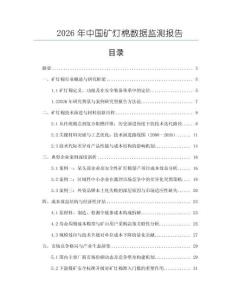 2026年中國礦燈棉數(shù)據(jù)監(jiān)測報告