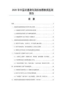 2026年中國(guó)雙通道電流校驗(yàn)器數(shù)據(jù)監(jiān)測(cè)報(bào)告