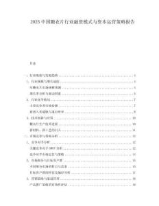 2025中國糖衣片行業(yè)融資模式與資本運營策略報告