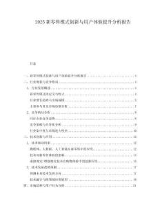 2025新零售模式創新與用戶體驗提升分析報告
