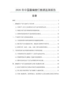 2026年中國藤編壁燈數據監(jiān)測報告