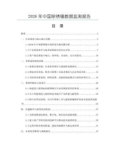 2026年中國除銹錘數據監測報告