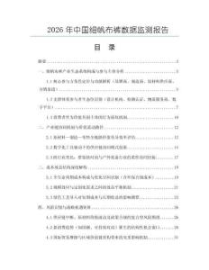 2026年中国细帆布裤数据监测报告