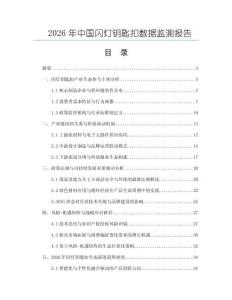 2026年中国闪灯钥匙扣数据监测报告