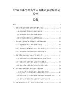 2026年中國電瓶專用供電線索數據監測報告