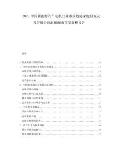 2025中国新能源汽车电机行业市场趋势深度研究及投资机会预测和面市前景分析报告