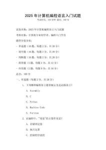 2025年计算机编程语言入门试题