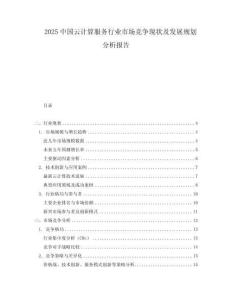 2025中國云計算服務行業市場競爭現狀及發展規劃分析報告