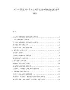 2025中國(guó)無人機(jī)在智慧城市建設(shè)中的角色定位分析報(bào)告