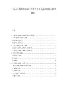 2025全球特种玻璃材料新兴应用领域拓展机会研究报告