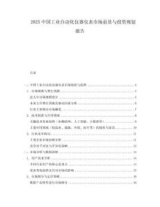 2025中國工業自動化儀器儀表市場前景與投資規劃報告