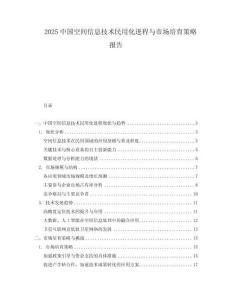 2025中国空间信息技术民用化进程与市场培育策略报告