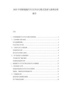 2025中國新能源汽車共享出行模式發(fā)展與盈利分析報告