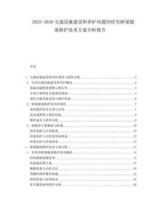 2025-2030交通設(shè)施建設(shè)和養(yǎng)護(hù)問題的研究橋梁隧道維護(hù)技術(shù)方案分析報告