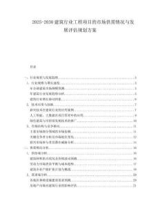 2025-2030建筑行业工程项目的市场供需情况与发展评估规划方案