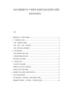 2025新能源汽車產業鏈全景剖析及技術趨勢與投資價值評估報告