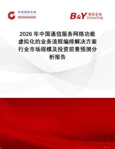 2026年中國通信服務網絡功能虛擬化的業務流程編排解決方案行業市場規模及投資前景預測分析報告