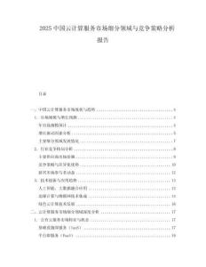 2025中國云計算服務(wù)市場細(xì)分領(lǐng)域與競爭策略分析報告