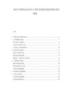 2025中國冶金行業生產效率分析技術進步研究競爭規劃