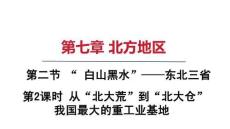 7.2 “ 白山黑水”——東北三省  第2課時(shí) 從“北大荒”到“北大倉(cāng)”-課件 2025-2026學(xué)年人教版地理八年級(jí)下冊(cè)