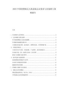 2025中國消費級無人機適航認證要求與市場準入策略報告
