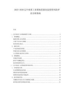 2025-2030遼中南重工業基地更新改造投資風險評估分析指南