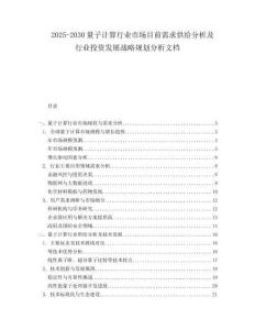 2025-2030量子計算行業市場目前需求供給分析及行業投資發展戰略規劃分析文檔