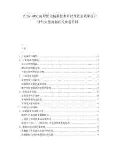 2025-2030流程優化精益技術研討及資金效率提升計劃文卷規劃討論參考資料