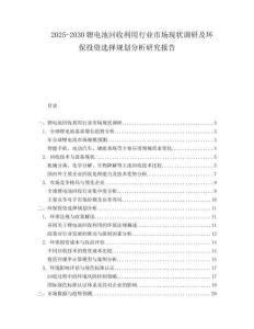 2025-2030鋰電池回收利用行業(yè)市場現(xiàn)狀調(diào)研及環(huán)保投資選擇規(guī)劃分析研究報告
