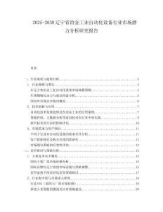 2025-2030遼寧省冶金工業(yè)自動(dòng)化設(shè)備行業(yè)市場(chǎng)潛力分析研究報(bào)告