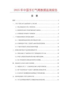 2025年中國手打氣筒數據監測報告