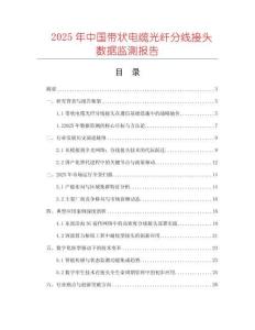 2025年中國帶狀電纜光纖分線接頭數據監測報告