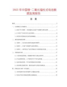 2025年中國鋰-二氧化錳柱式電池數據監測報告