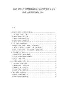2025-2030教育特殊教育行業市場深度調研及發展戰略與前景展望研究報告
