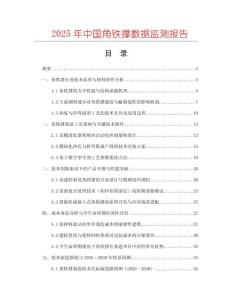 2025年中國角鐵撐數據監測報告