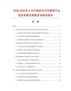 2026及未來5年中國皮毛汽車靠背行業投資前景及策略咨詢研究報告