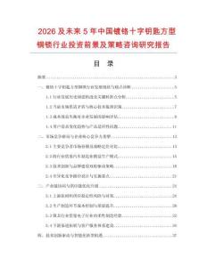 2026及未來5年中國鍍鉻十字鑰匙方型銅鎖行業投資前景及策略咨詢研究報告