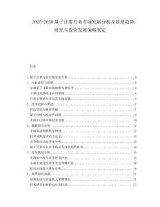 2025-2030量子計算行業市場發展分析及前景趨勢研究與投資發展策略制定