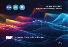 【IEF】2026年展望比較報告