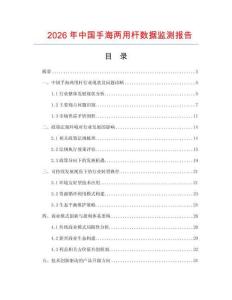 2026年中国手海两用杆数据监测报告