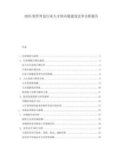 2025軟件外包行業人才供應鏈建設競爭分析報告