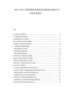 2025-2030盧森堡稅收優惠政策對跨國企業吸引力分析研究報告