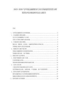 2025-2030馬耳他金融服務行業市場現狀供需分析投資評估規劃研究論文報告