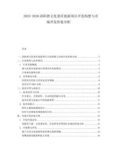 2025-2030洛陽唐文化景區(qū)夜游項目開發(fā)構(gòu)想與市場開發(fā)價值分析