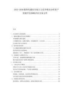 2025-2030媒體傳播業市場主力競爭格局分析客戶資源開發策略評估方案文件