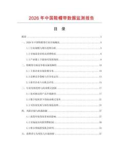 2026年中国鞋帽带数据监测报告