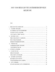 2025-2030煤炭石油開采行業資源儲量政策環境市場發展分析