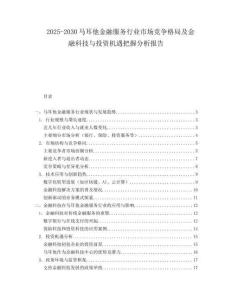 2025-2030馬耳他金融服務行業市場競爭格局及金融科技與投資機遇把握分析報告